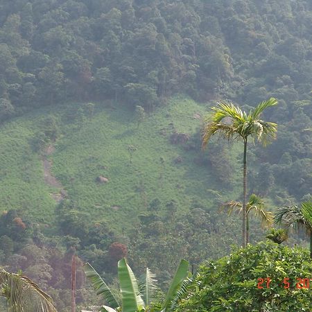 White Water Woods Resort Vythiri Bagian luar foto
