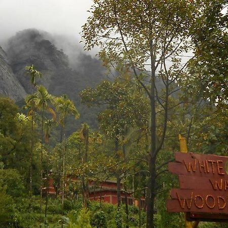 White Water Woods Resort Vythiri Bagian luar foto
