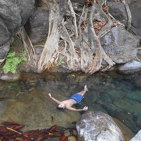 White Water Woods Resort Vythiri Bagian luar foto