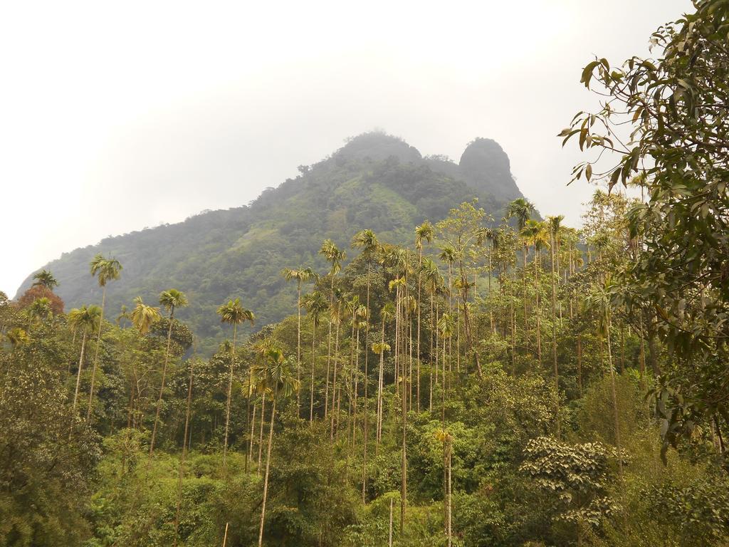 White Water Woods Resort Vythiri Bagian luar foto
