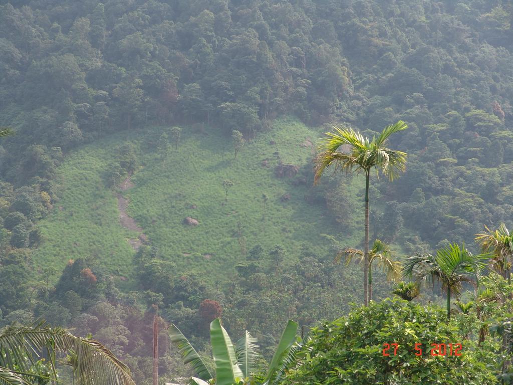 White Water Woods Resort Vythiri Bagian luar foto
