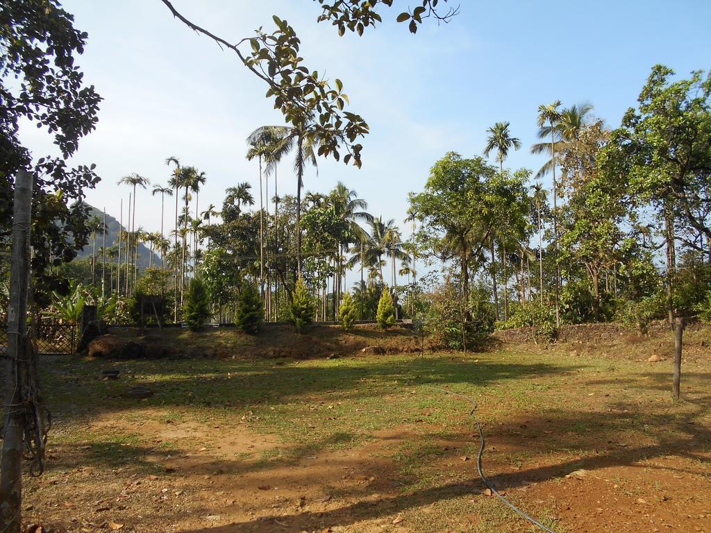 White Water Woods Resort Vythiri Bagian luar foto