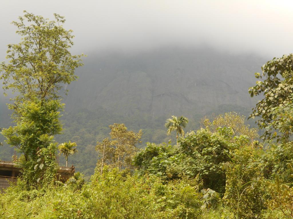White Water Woods Resort Vythiri Bagian luar foto