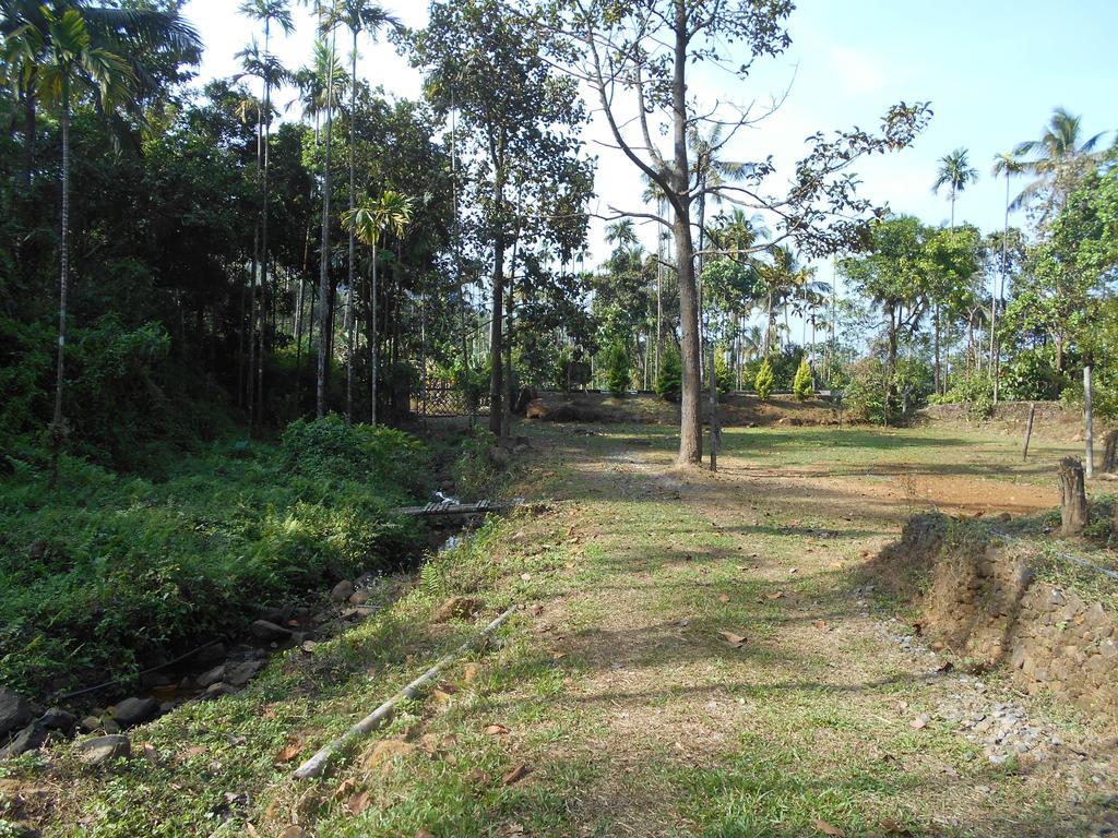 White Water Woods Resort Vythiri Bagian luar foto