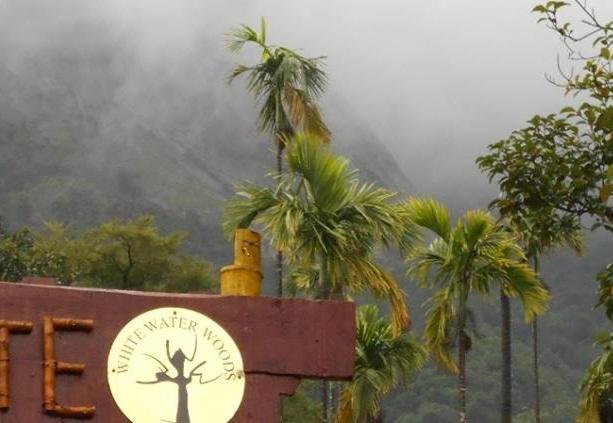 White Water Woods Resort Vythiri Bagian luar foto